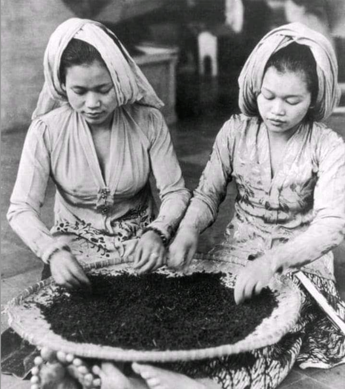 Two Indonesian women prepare and sort through tea leaves. Image sourced from Collection Tropenmuseum.